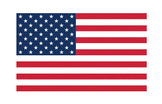 American Flag Picture Panel